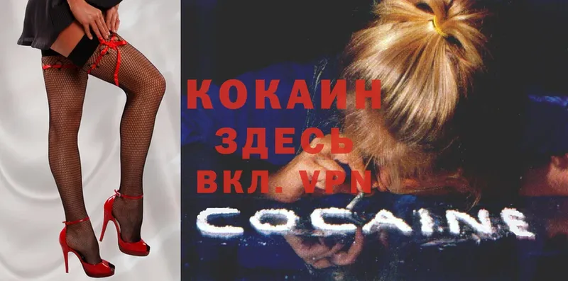 COCAIN Эквадор  сколько стоит  Кола 