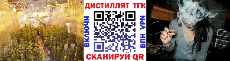 ТГК THC oil  как найти закладки  нарко площадка какой сайт  Кола 