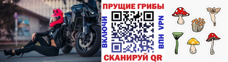 Галлюциногенные грибы Cubensis  наркотики  Кола 